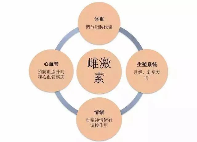 女孩們，答應(yīng)我這個器官一定要保護(hù)好