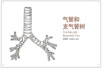 喉嚨里總有痰，痰多還吐不完？可能是這里出了問題，別不當(dāng)回事！