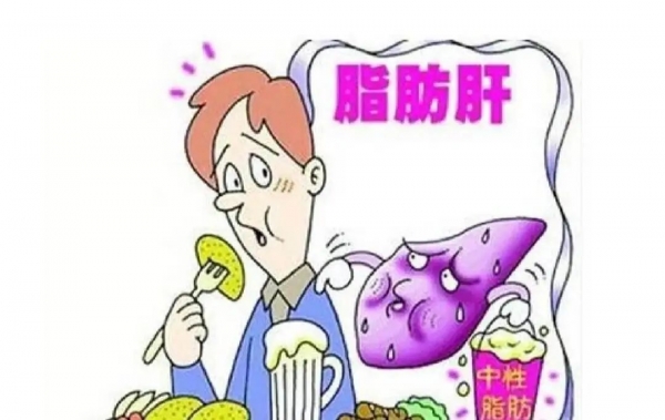 體檢查出輕度脂肪肝？想要逆轉(zhuǎn)需要做到這幾點(diǎn)